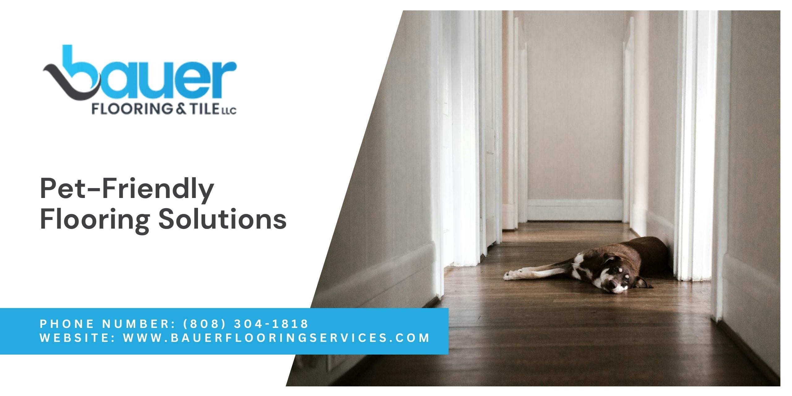 Pet-Friendly Flooring Solutions for Hawaii Homes and Families